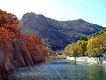 新澳门二四六天天彩，股神来了